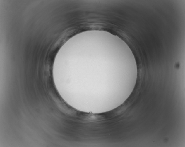 X0000116290379200912211845