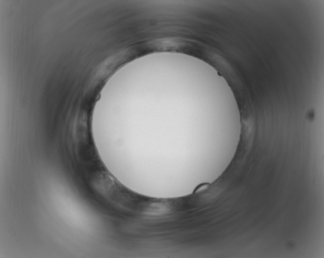 X0000116290381200912211846