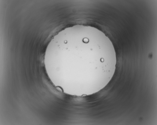 X0000116290383200912211846