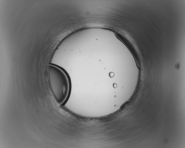 X0000116290385200912211845