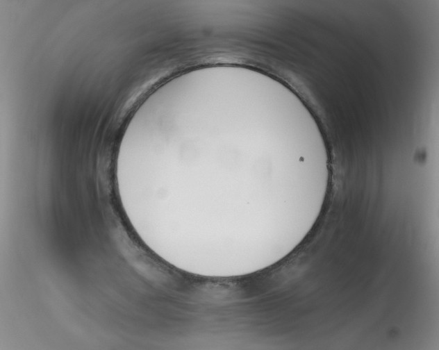 X0000116290386200912211845