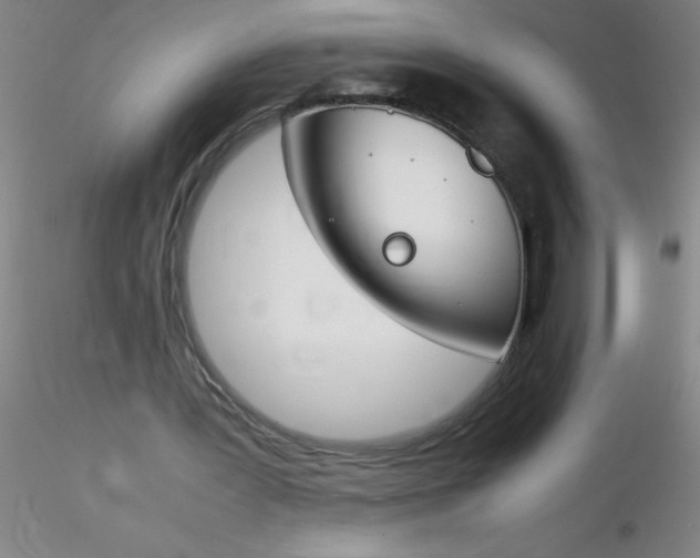 X0000116290387200912211845