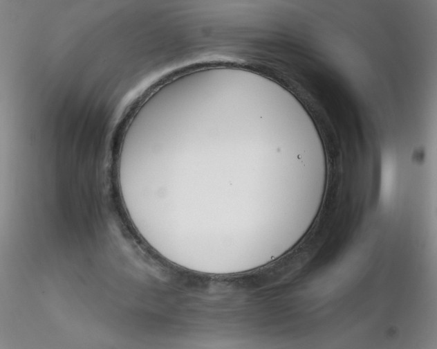 X0000116290388200912211845