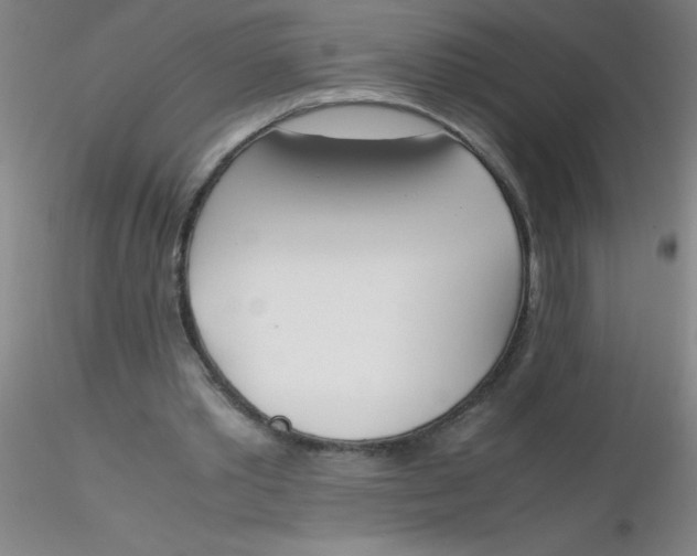 X0000116290389200912211845