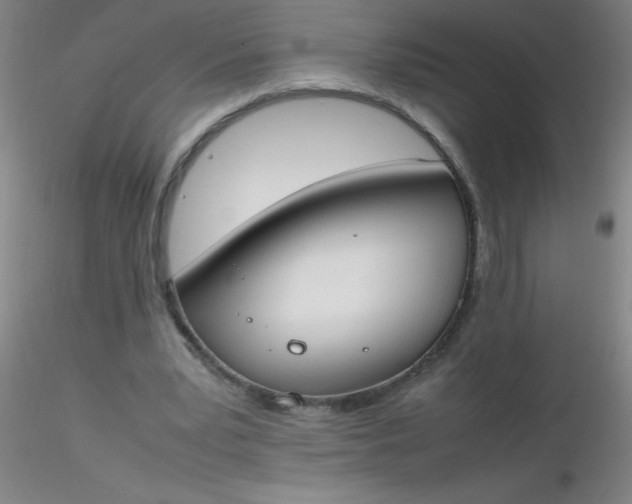 X0000116290391200912211845