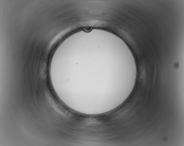 X0000116290392200912211845