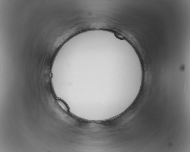 X0000116290393200912211845