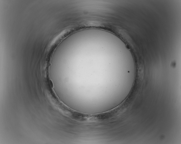 X0000116290395200912211845