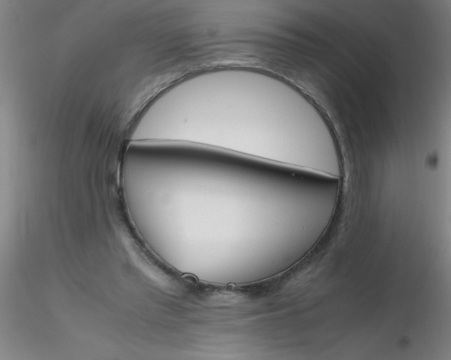 X0000116290397200912211845