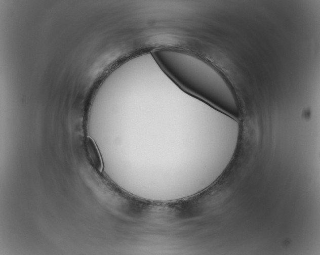 X0000116290399200912211845