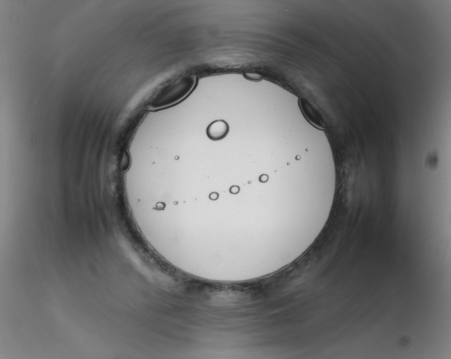 X0000116290400200912211845