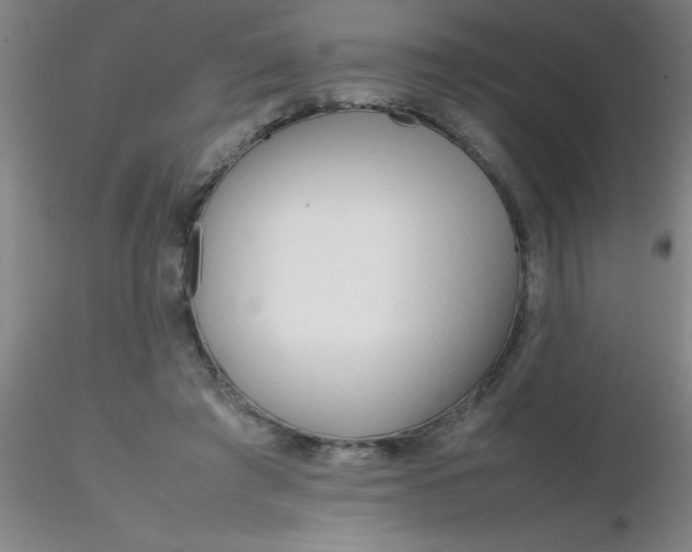 X0000116290401200912211845