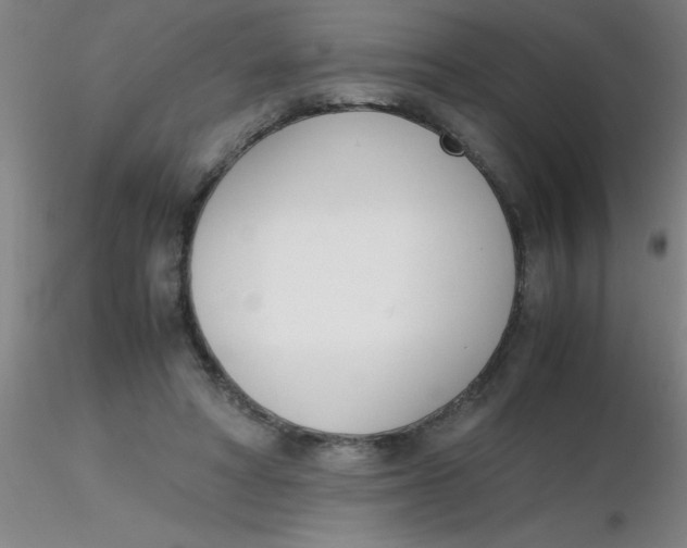 X0000116290402200912211845