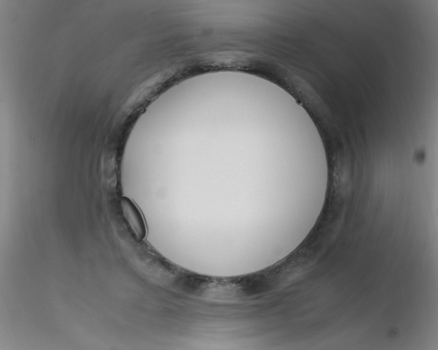 X0000116290403200912211845