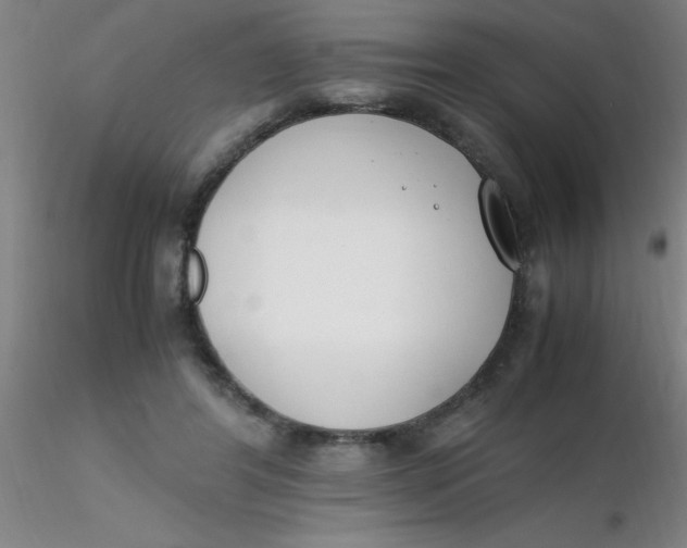 X0000116290404200912211845