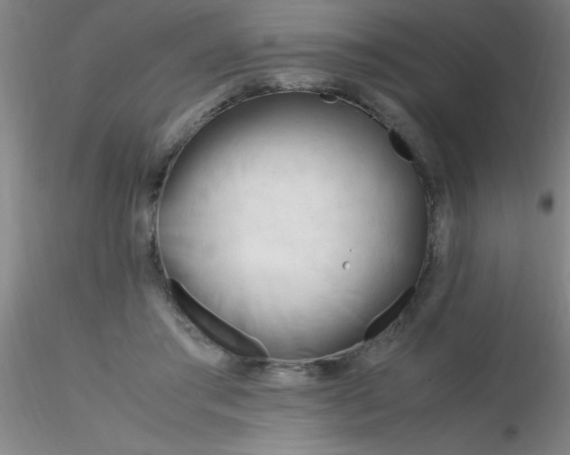 X0000116290405200912211845