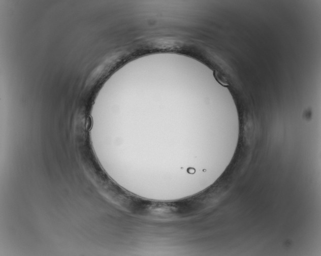 X0000116290407200912211845