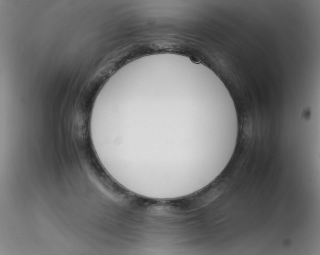 X0000116290408200912211845