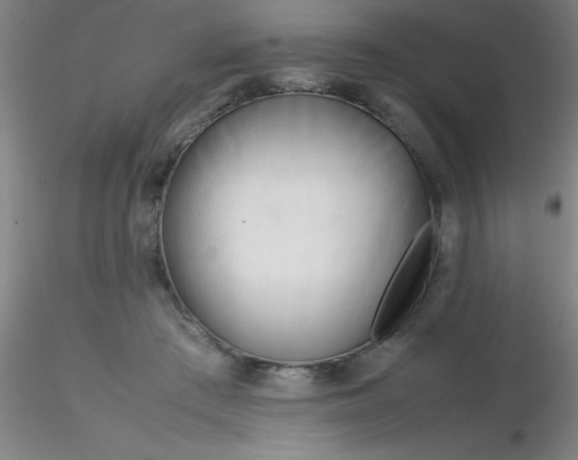 X0000116290409200912211845