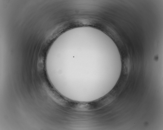 X0000116290410200912211845