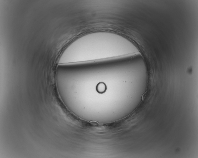 X0000116290411200912211845