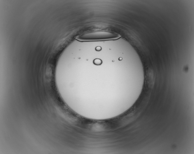 X0000116290412200912211845