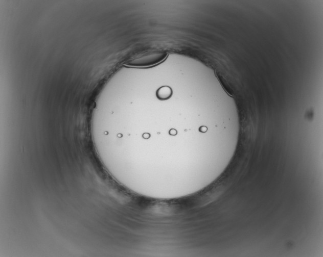 X0000116290416200912211844