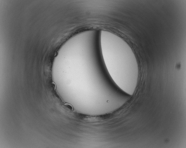 X0000116290417200912211844