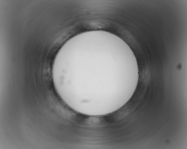 X0000116290418200912211844