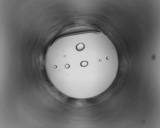 X0000116290420200912211844