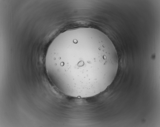 X0000116290424200912211844