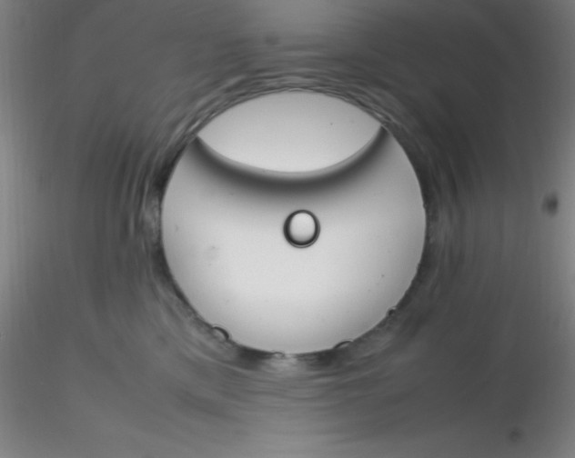 X0000116290425200912211844