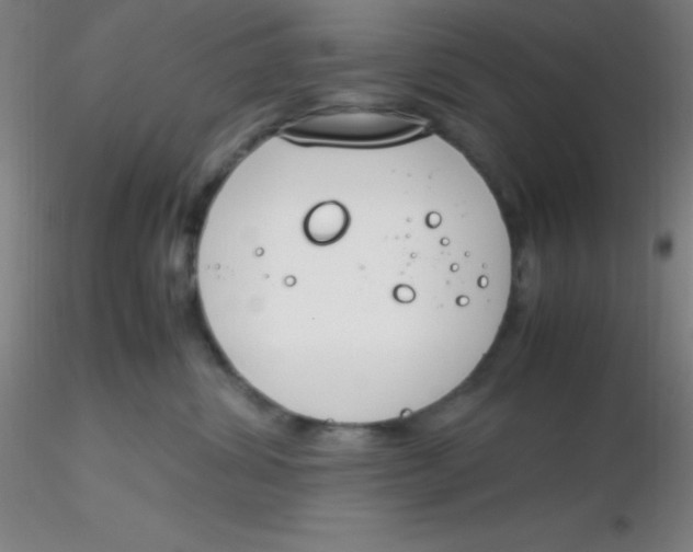 X0000116290428200912211844