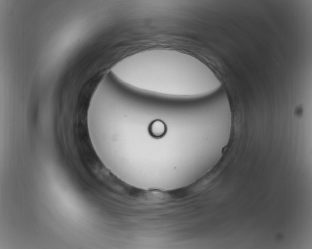 X0000116290429200912211844