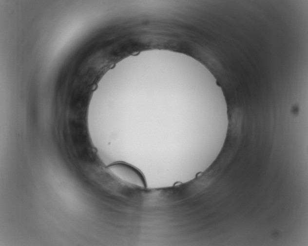 X0000116290430200912211844