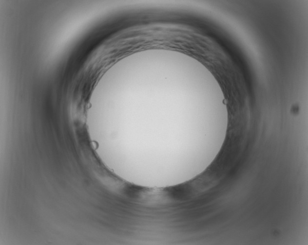 X0000116290431200912211844