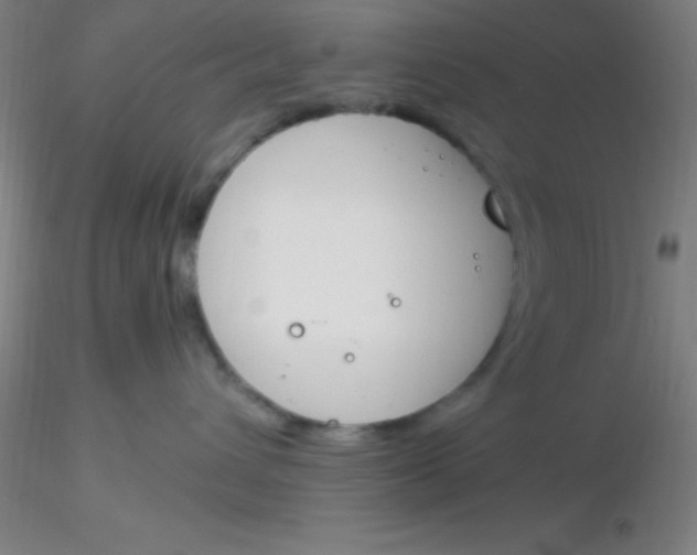 X0000116290432200912211844