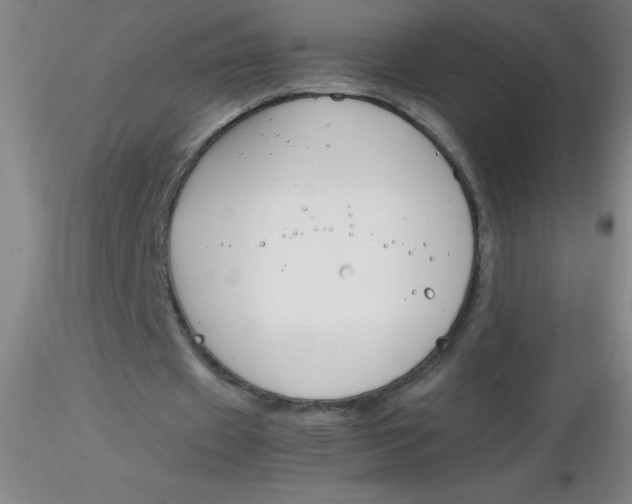 X0000116290433200912211844