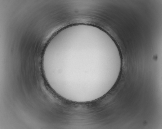 X0000116290434200912211844