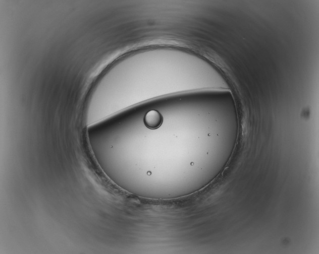 X0000116290436200912211844