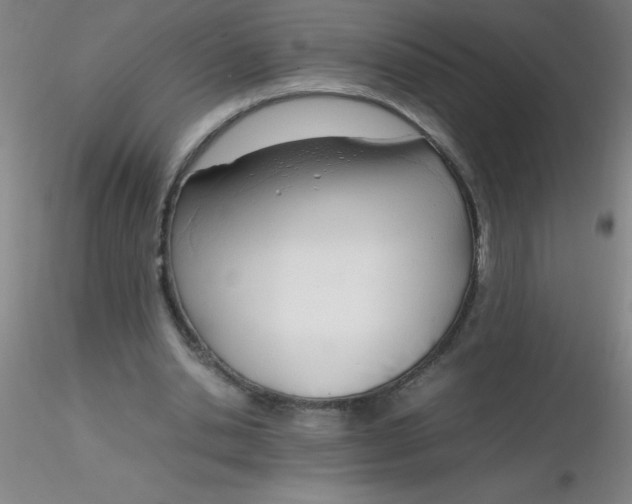 X0000116290438200912211844