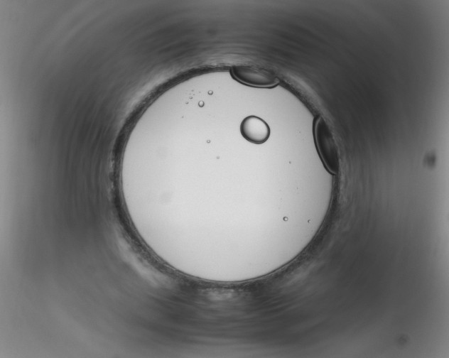 X0000116290439200912211844