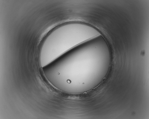 X0000116290440200912211844