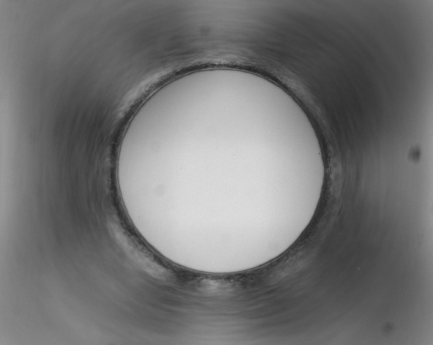 X0000116290442200912211844