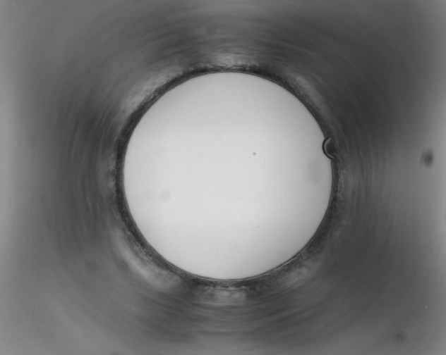 X0000116290443200912211844