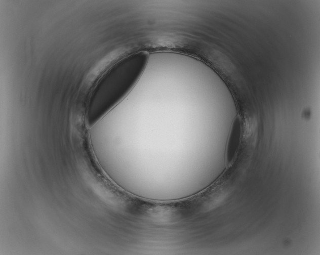 X0000116290444200912211844