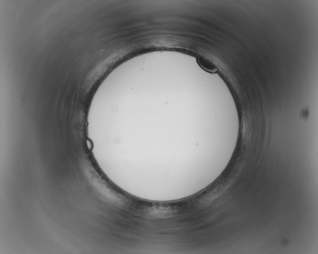 X0000116290445200912211844