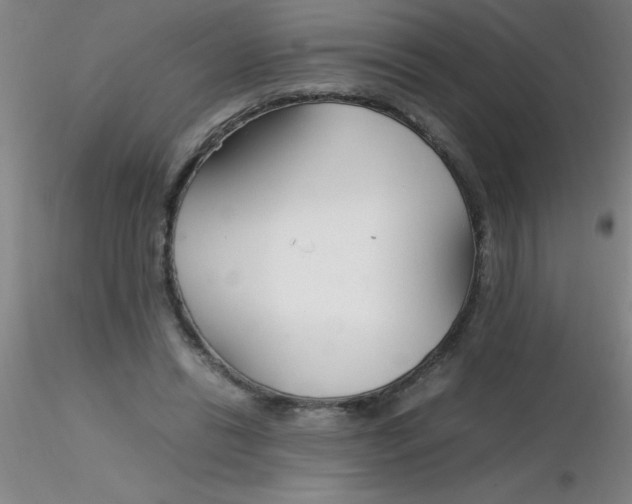 X0000116290446200912211844