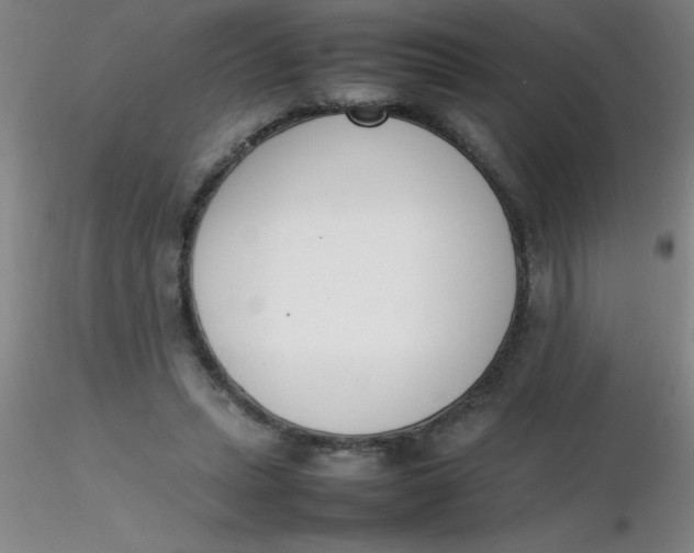 X0000116290447200912211844