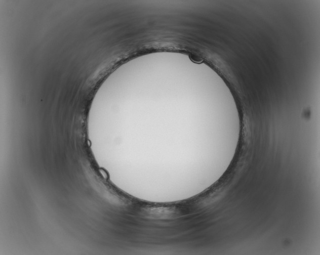 X0000116290449200912211844